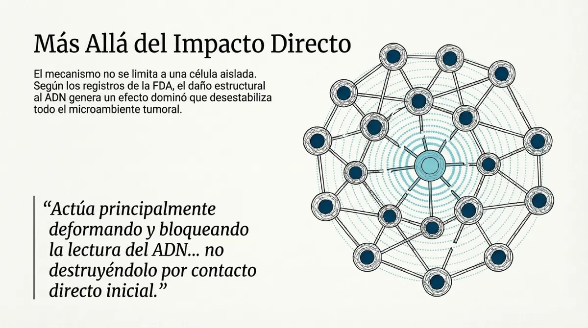 Red de células interconectadas mostrando el impacto en el microambiente tumoral.