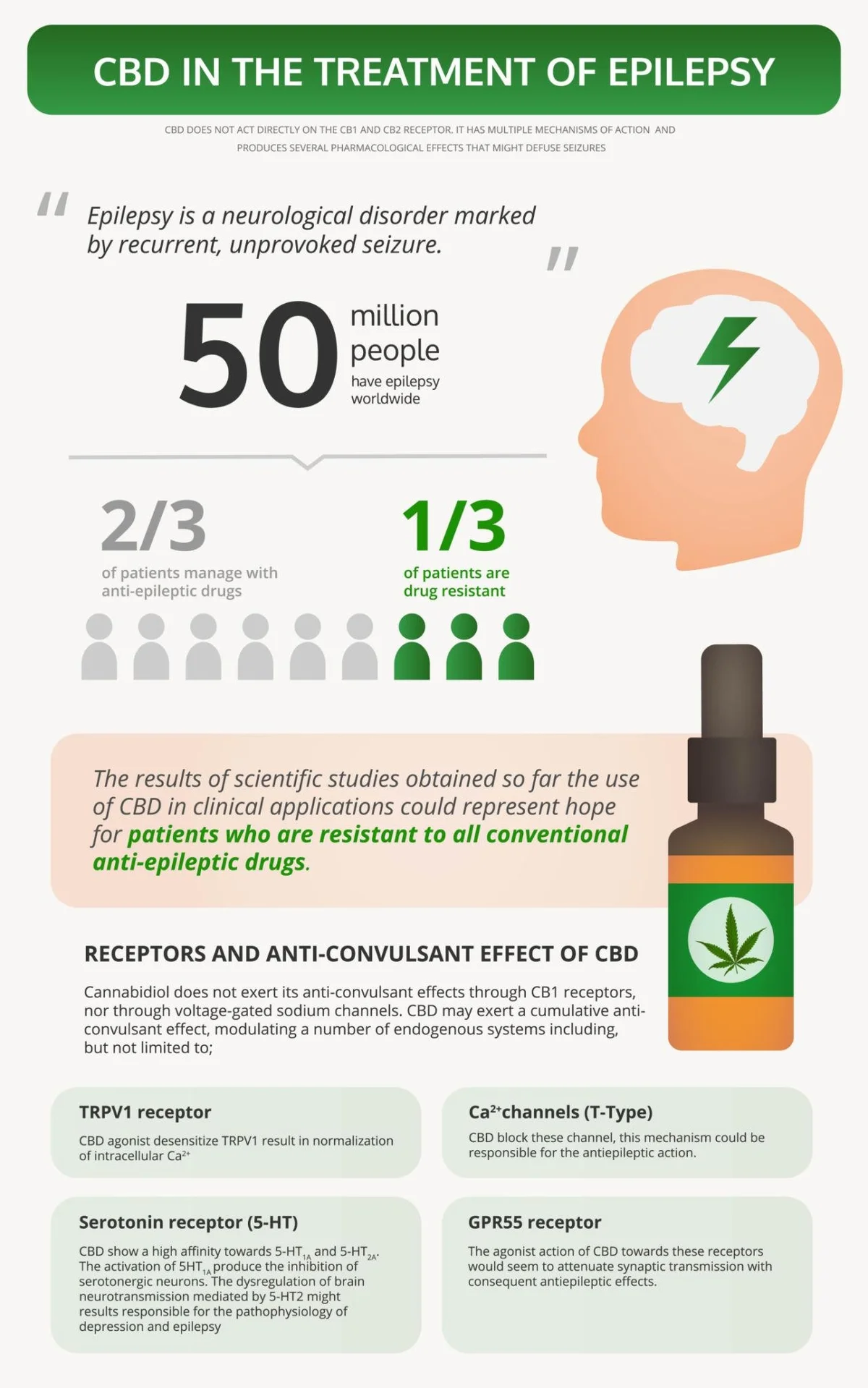 Infografía sobre el uso de CBD en el tratamiento de la epilepsia y sus receptores.